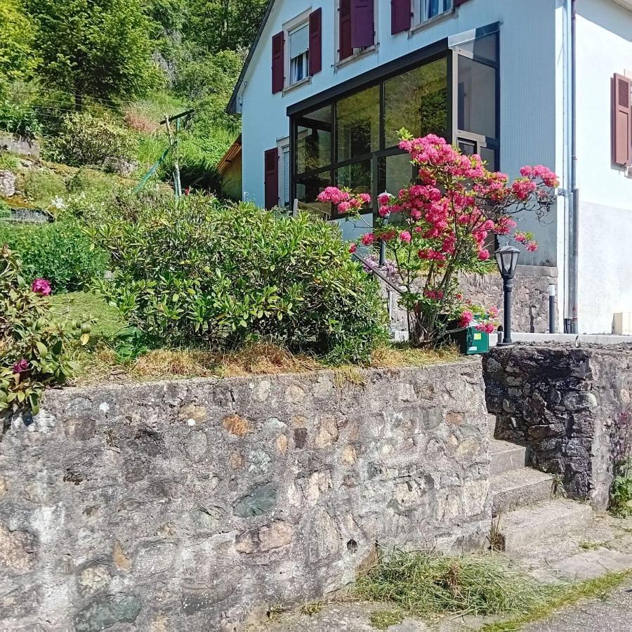 Gite Monts Et Merveilles Mollau Eksteriør billede